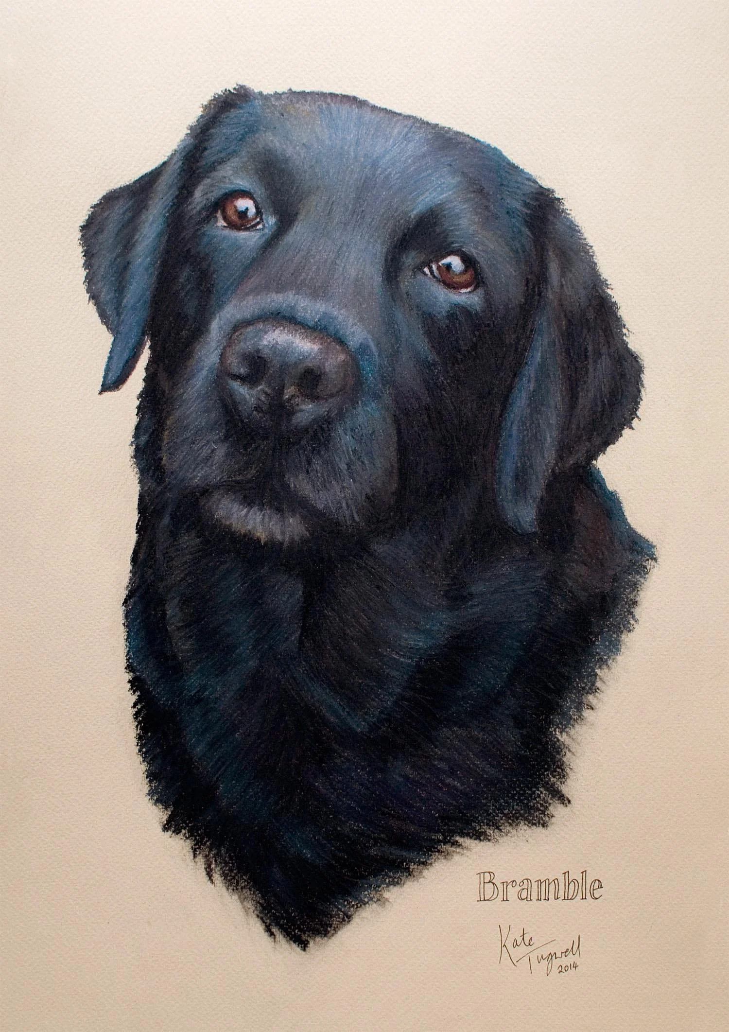 Dog-portrait---Bramble-black-lab-A3-pastel.jpg