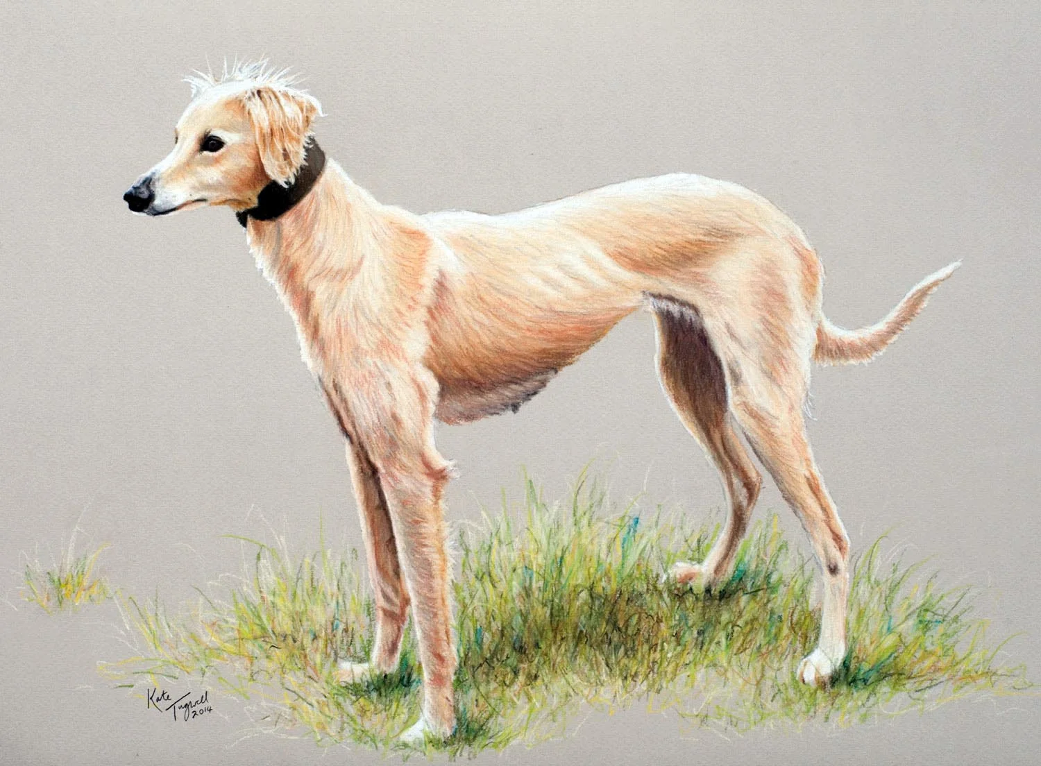 Dog-Portrait---Dave-Millington-cream-dog-12x16-pastel.jpg