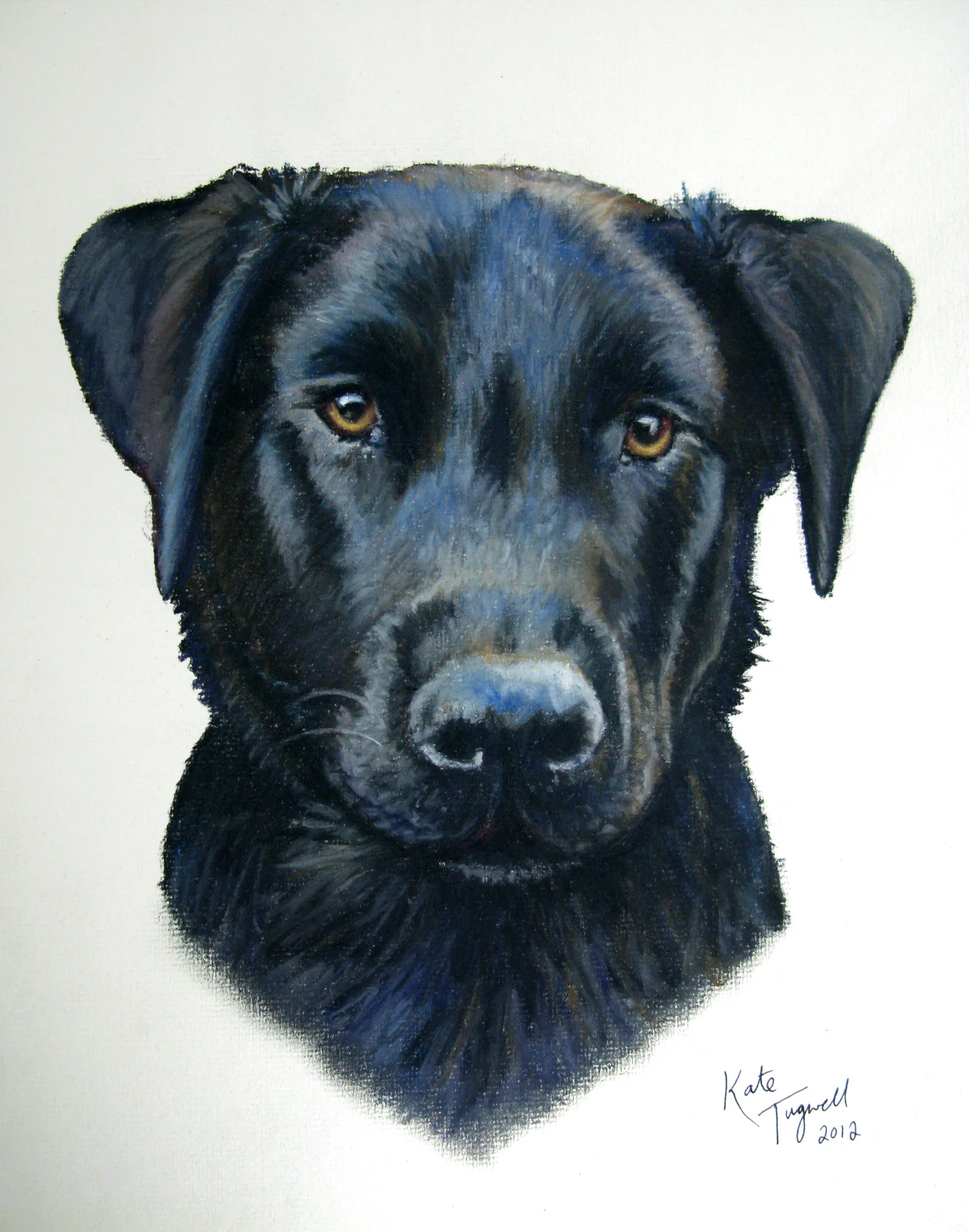 Dog-portrait---Dexter-black-lab-collie-pastel.jpg