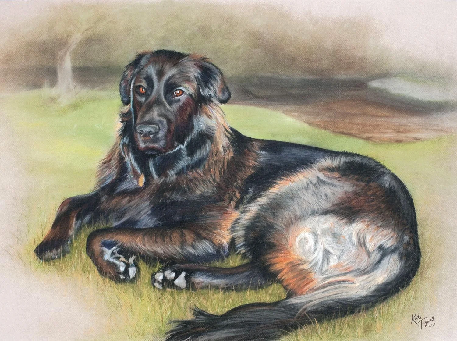 Dog-portrait---Major-pastel.jpg