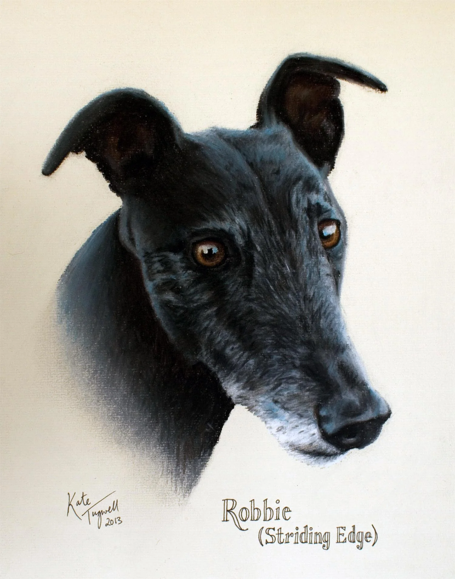 Dog-portrait---Robbie-greyhound-A4-pastel.jpg