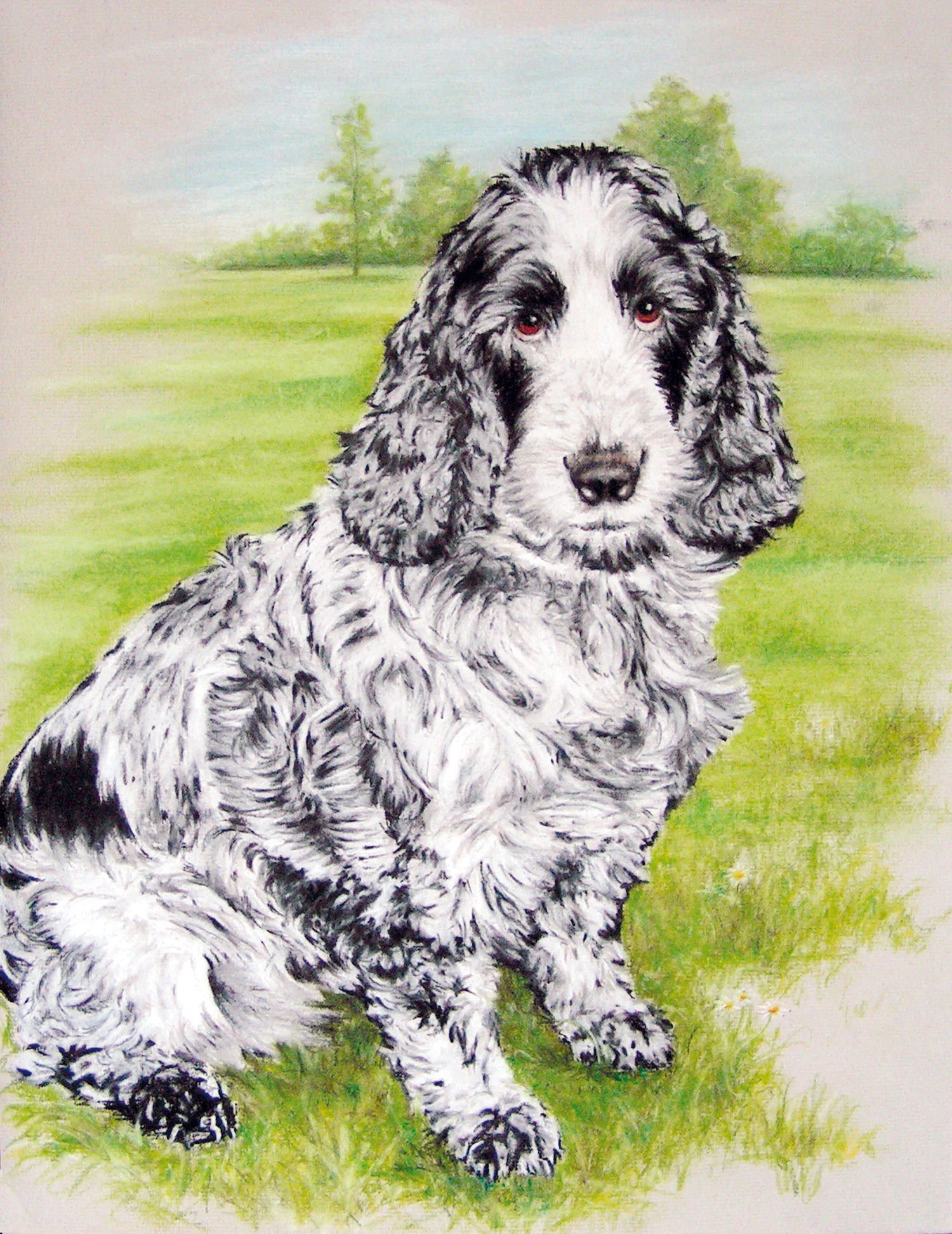 Dog-portrait---Zoe-the-spaniel-pastel.jpg