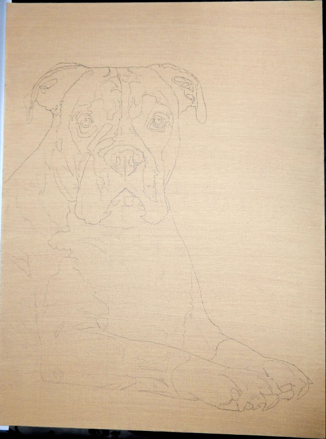 Rosie-Boxer-12-x-16-Acrylic-1.jpg