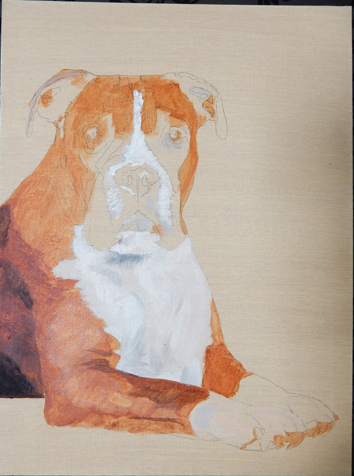 Rosie-Boxer-12-x-16-Acrylic-3.jpg