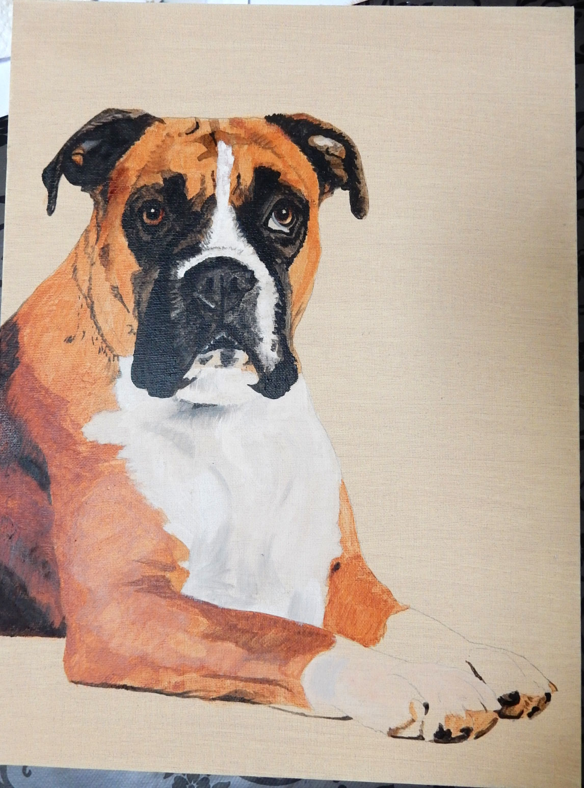 Rosie-Boxer-12-x-16-Acrylic-5.jpg