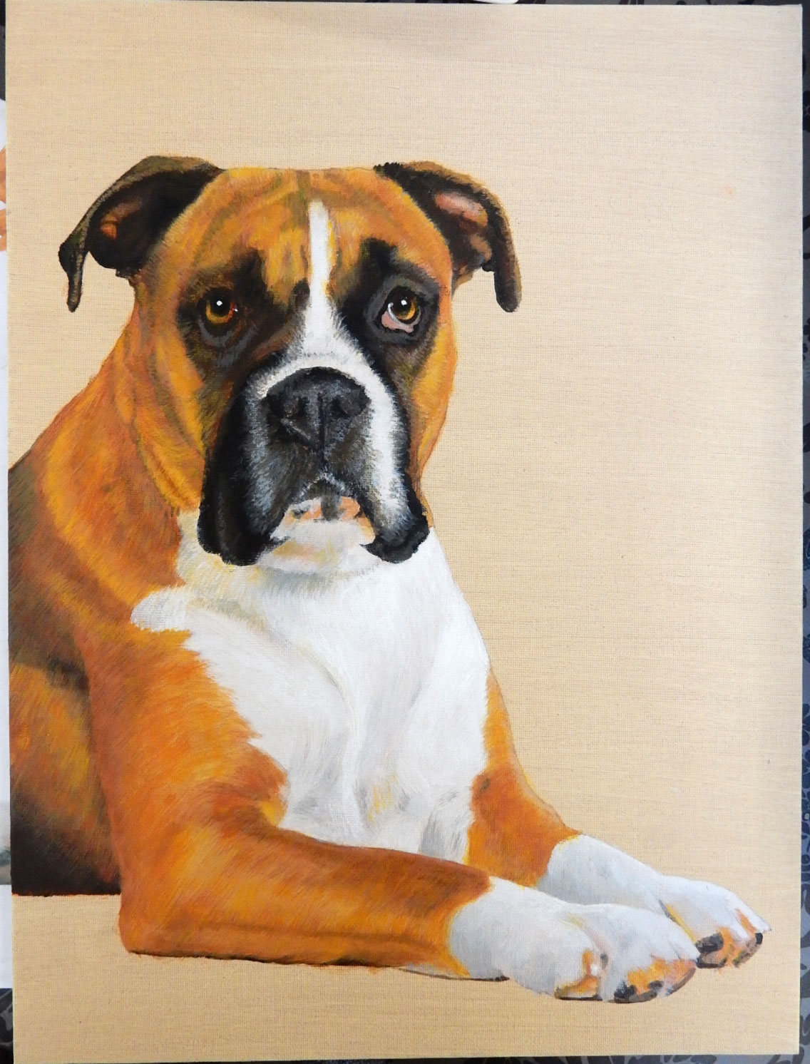 Rosie-Boxer-12-x-16-Acrylic-8.jpg