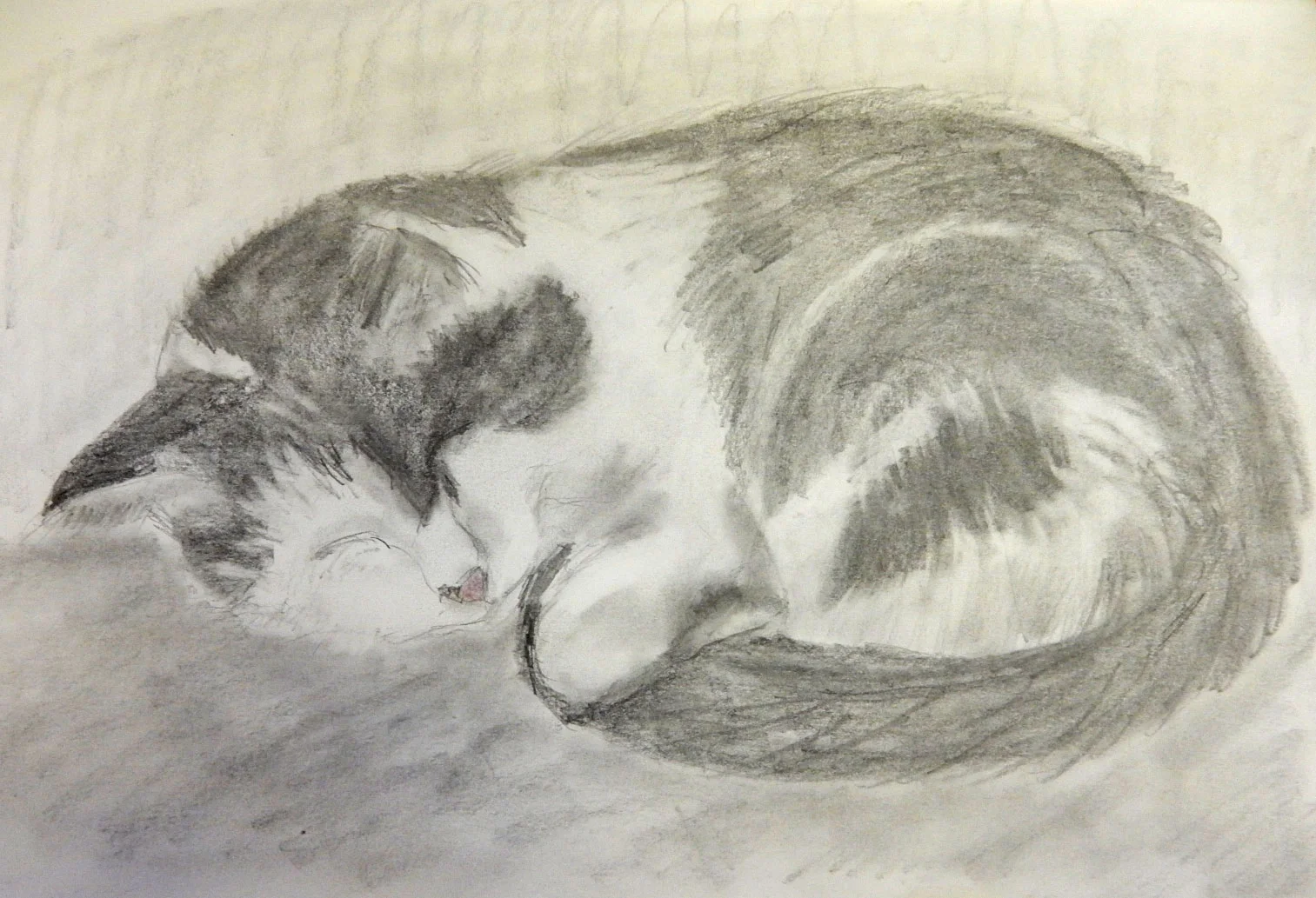 Drawing-2016-Chi-Spring-Catherine-R2.jpg
