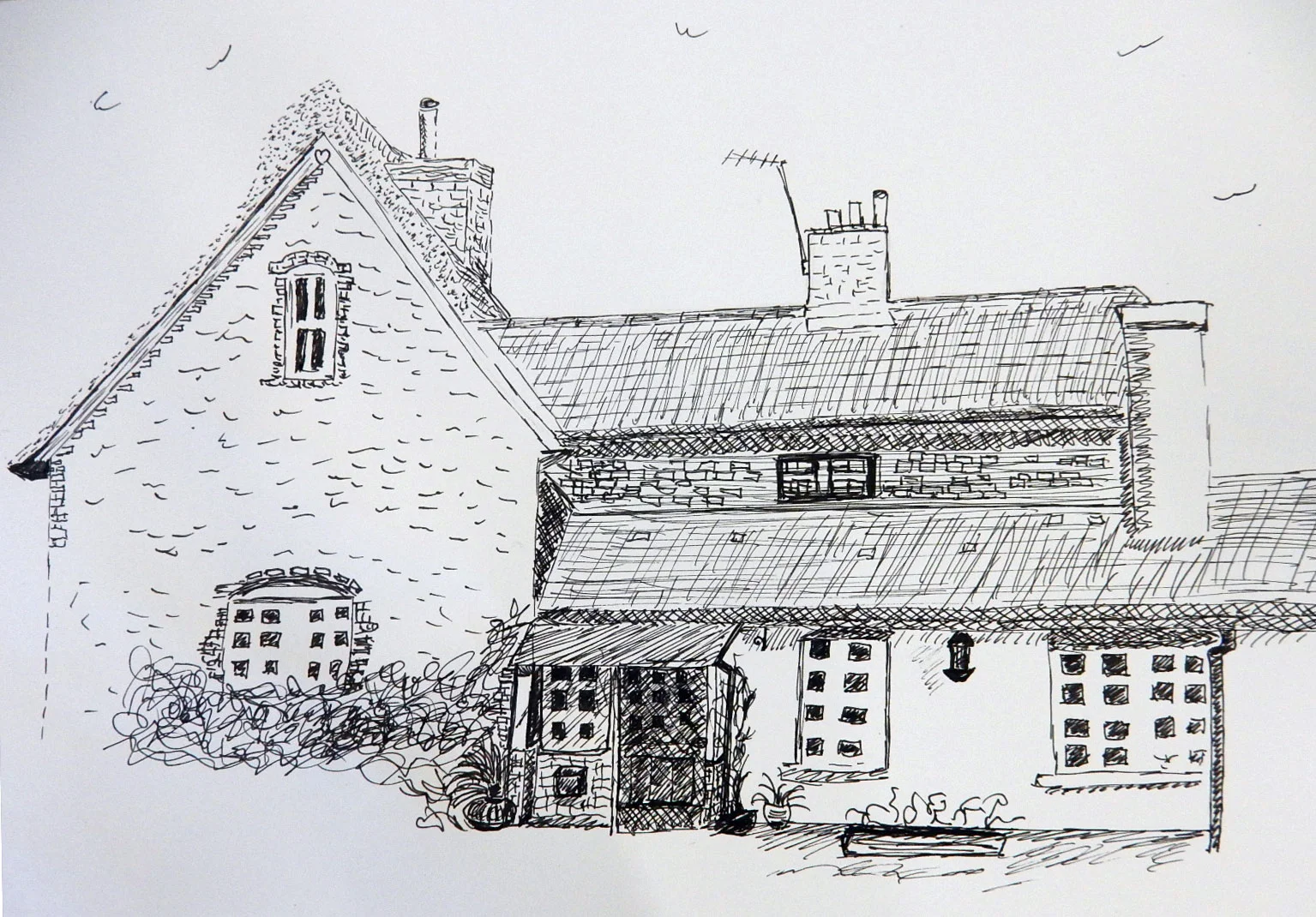 Drawing-2016-Chi-Spring-Sandra-G3.jpg