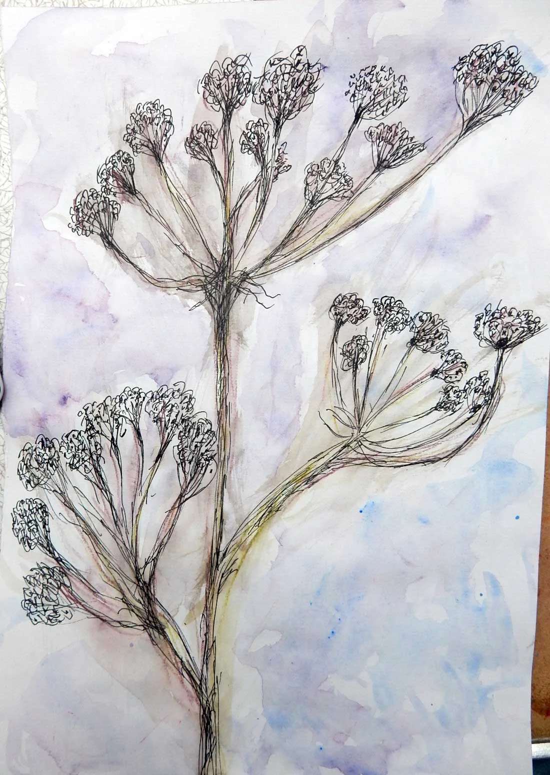 Drawing-2016-Storr-Spring-Chris-1.jpg
