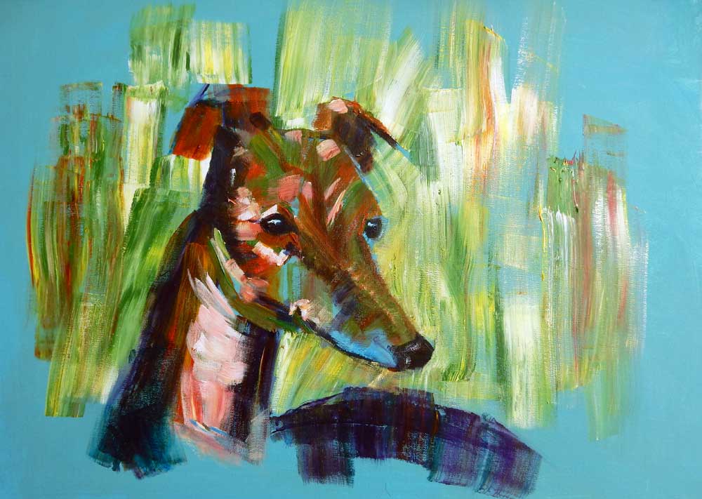 2016-Kay-White-greyhound.jpg