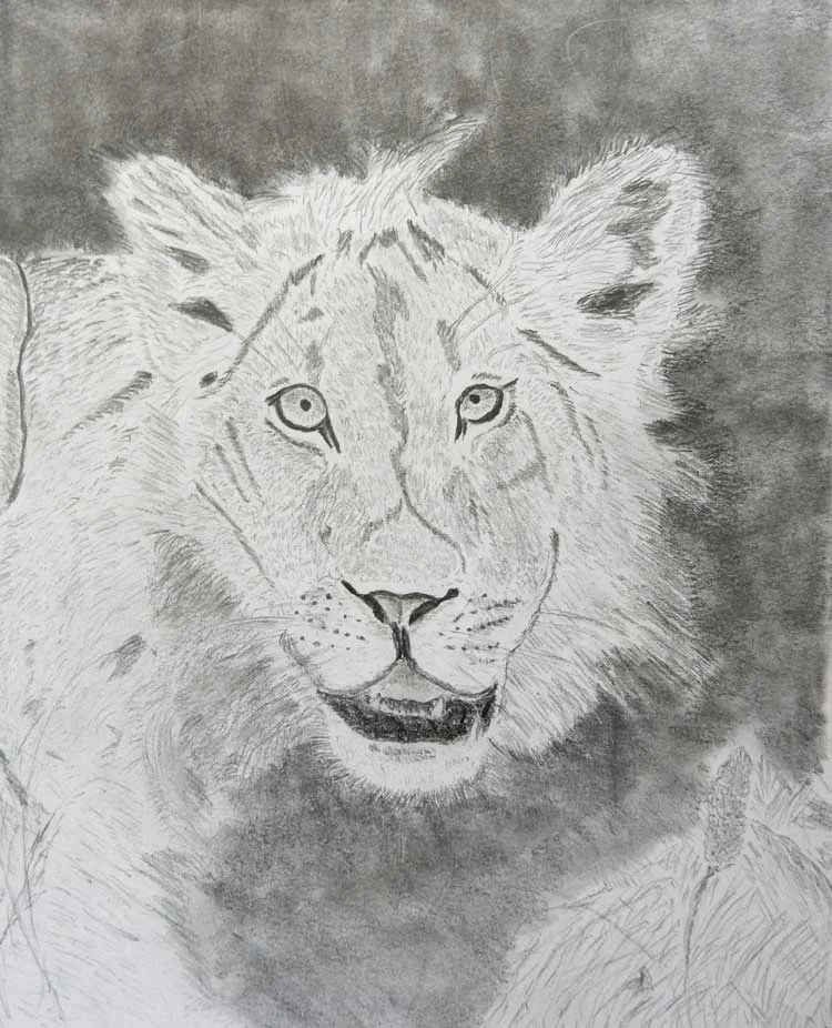 Drawing-2016-Storr-Spring-Lesley4a.jpg