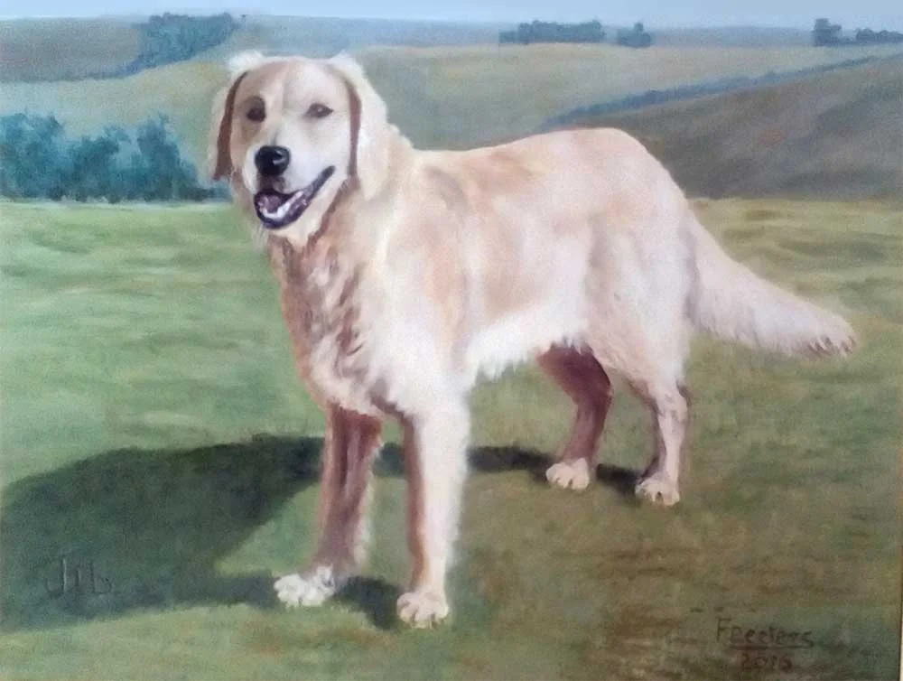 2016-Francis-Peeters-dog.jpg