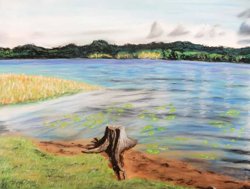 2016-Pastels-Alan-L-tree-stump.jpg