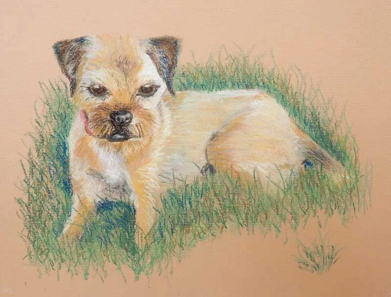 2016-Pastels-Anita-M-dog.jpg