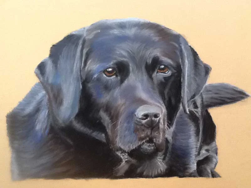 2016-Pastels-Chris-Y1.jpg