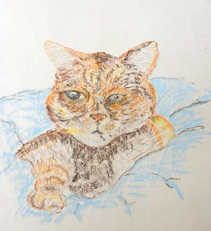 2016-Pastels-David-L-cat.jpg