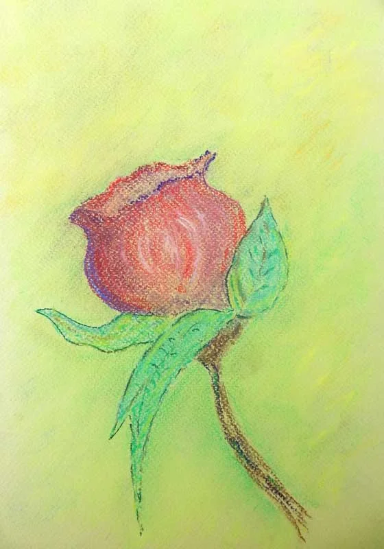 2016-Pastels-David-L-rose.jpg