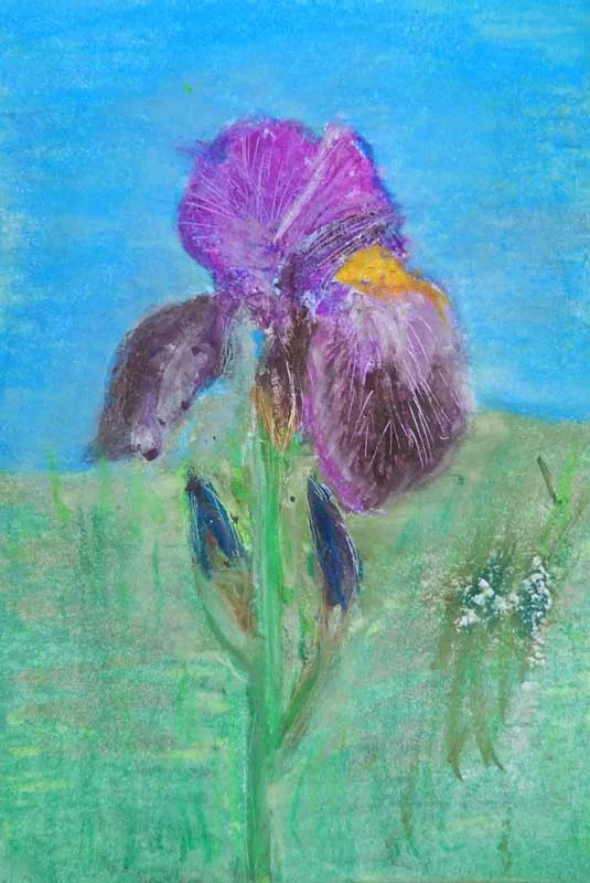 2016-Pastels-Iain-J-iris.jpg