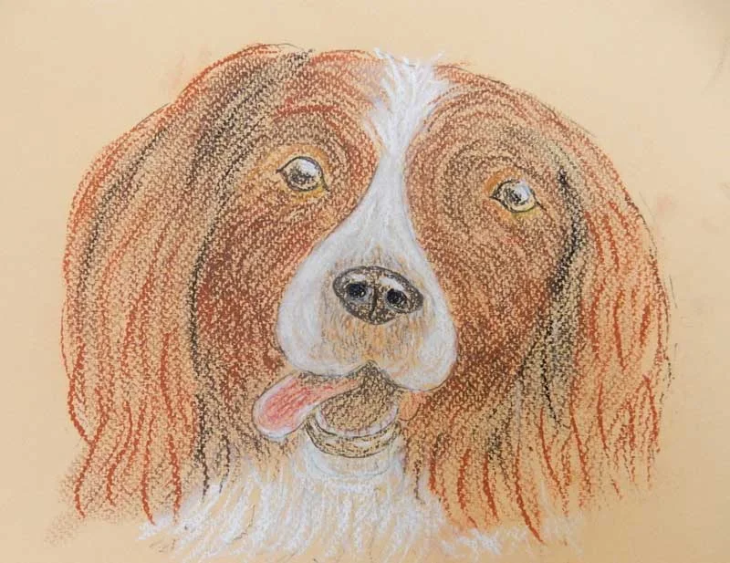 2017-M-Pastels-Dave-L-1.jpg