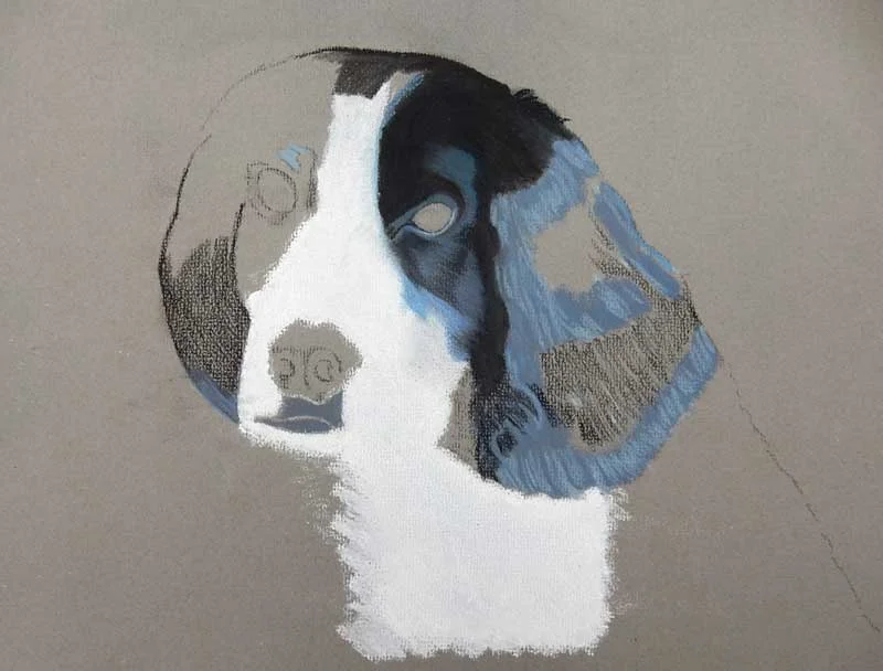 2017-M-Pastels-David-R-dog.jpg