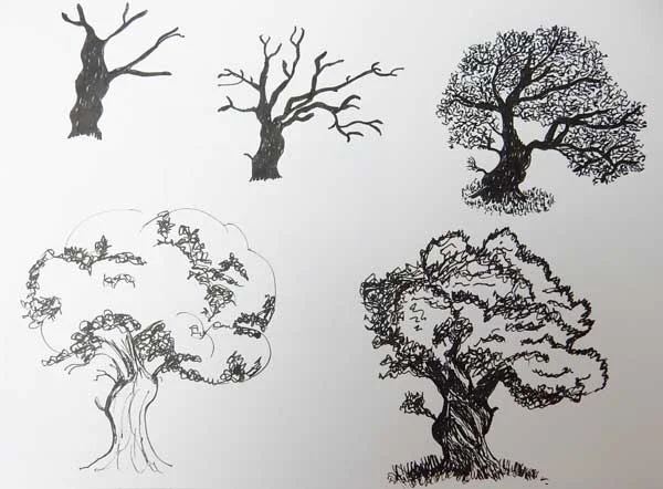 2017-Drawing-Late-Spring-19.jpg