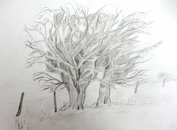 2017-Drawing-Late-Spring-38.jpg