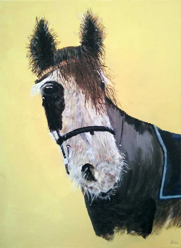 2017-Acrylics-TueStudio-Denise-horse.jpg