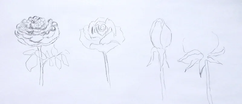 Borde-Hill-2017-sketches.jpg