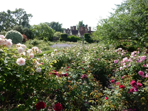 Borde-Hill-Garden-photo-27.jpg