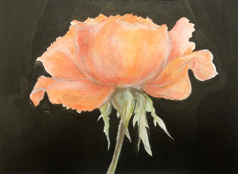 Submission-Sandie-Conlon-1.jpg