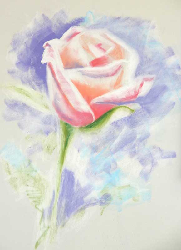 Rose-soft-sml.jpg
