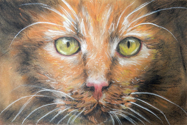 2017-Pastels-Sandie-C-1.jpg