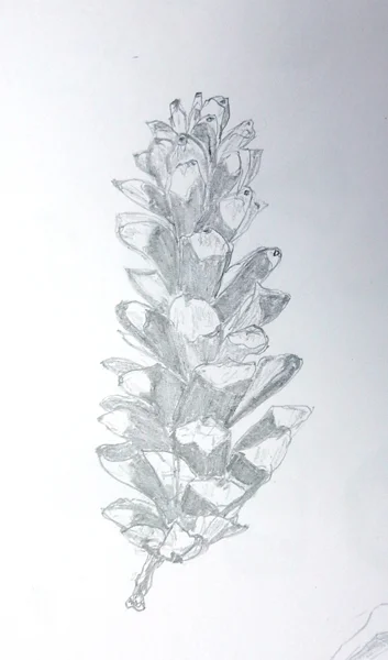 2017-Drawing-Summer-Elaine-H-2.jpg