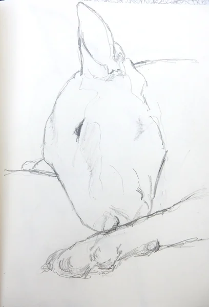 2017-Drawing-Summer-Louise-I-6.jpg