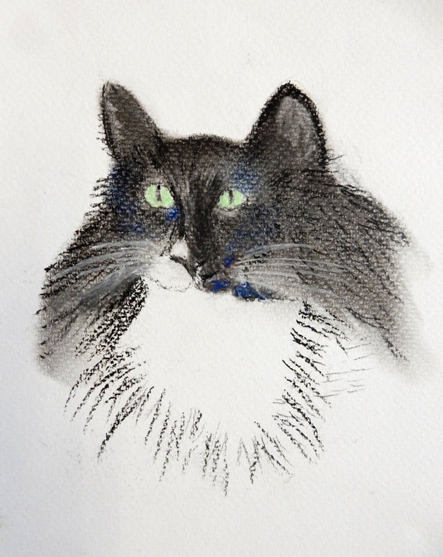 2018-Pastels-Libby-S-cat.jpg