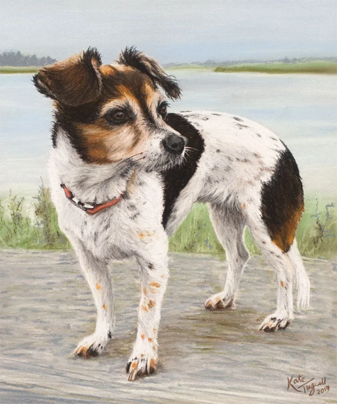 Dog-portrait---Stella-for-Tina-10x12-pastel.jpg