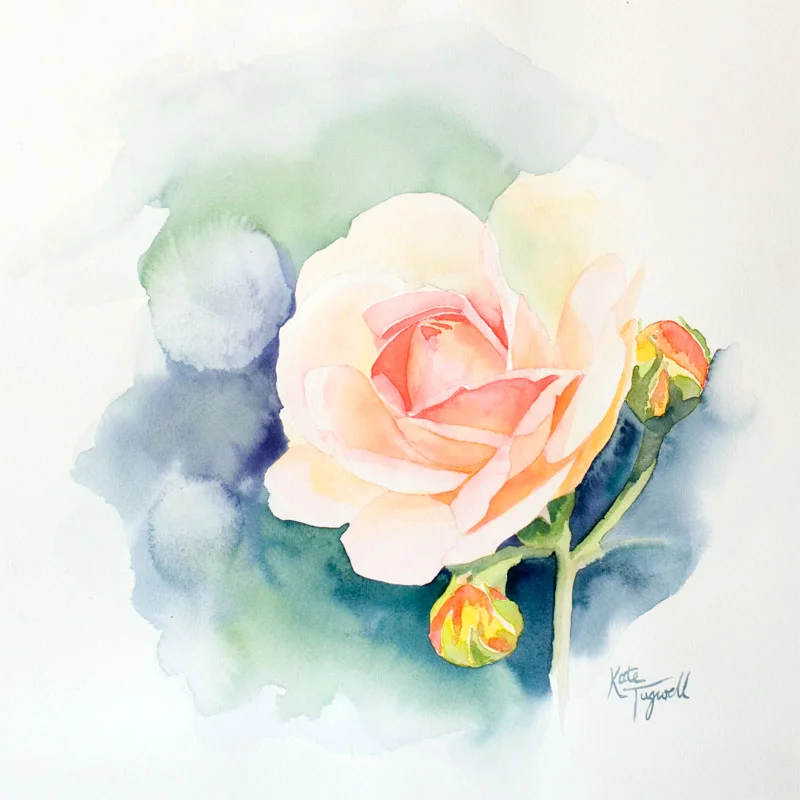 Art-for-sale---Rose-watercolour-square.jpg