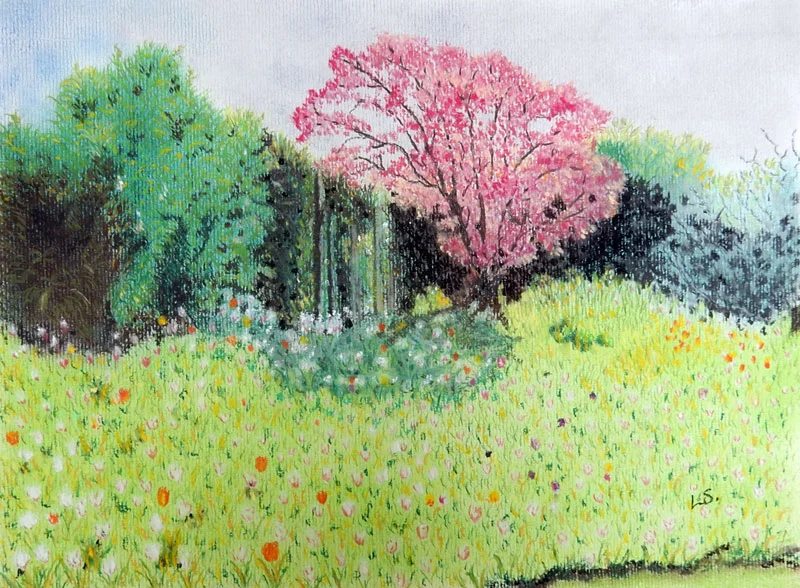 Libby-Serpis-tulip-field.jpg