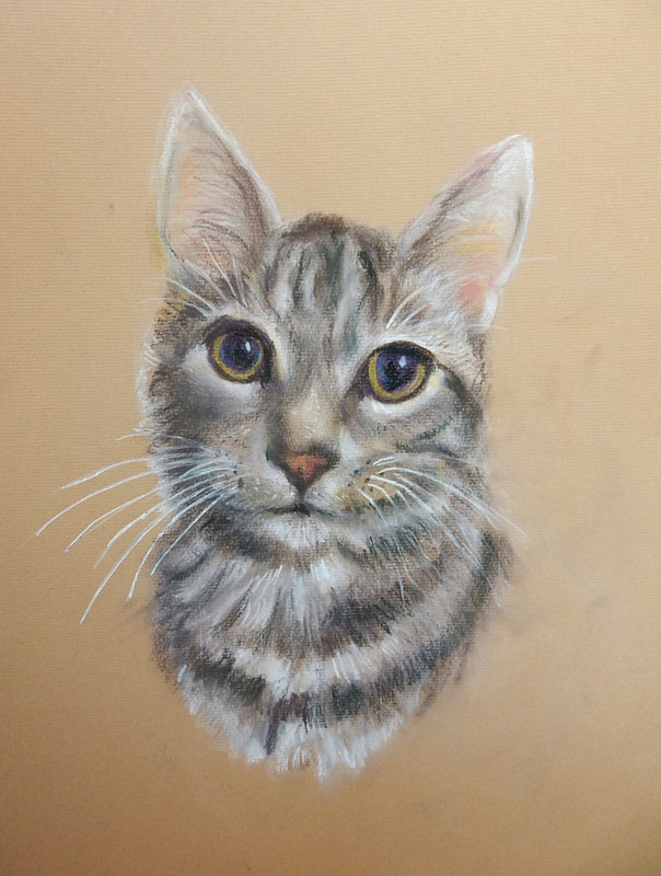 Sandie-C-cat.jpg
