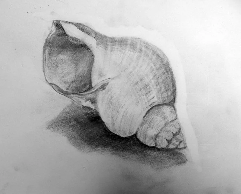 2018-Drawing-June-7.jpg