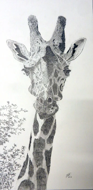 Lesley-Suter-Giraffe-pencil.jpg