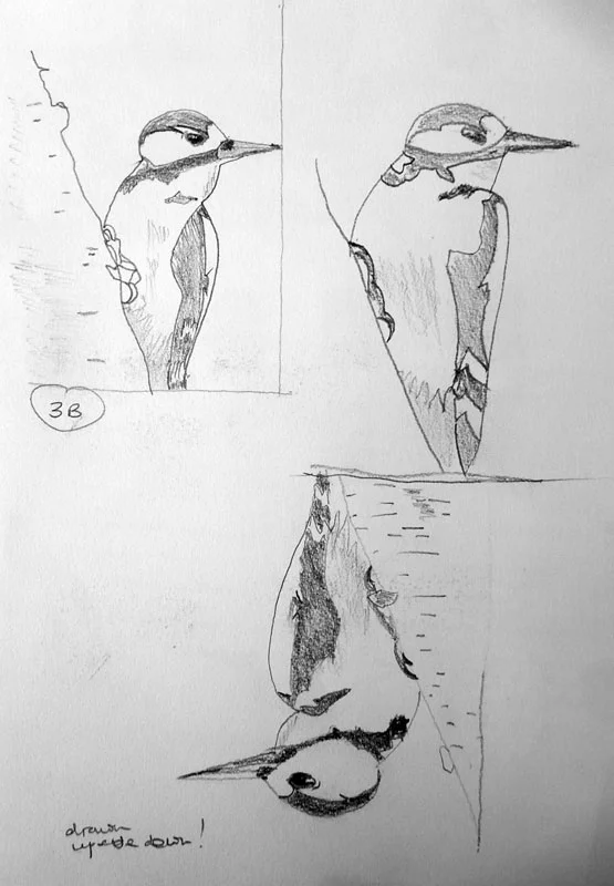 2019-Drawing-Jan-Storr-22.jpg