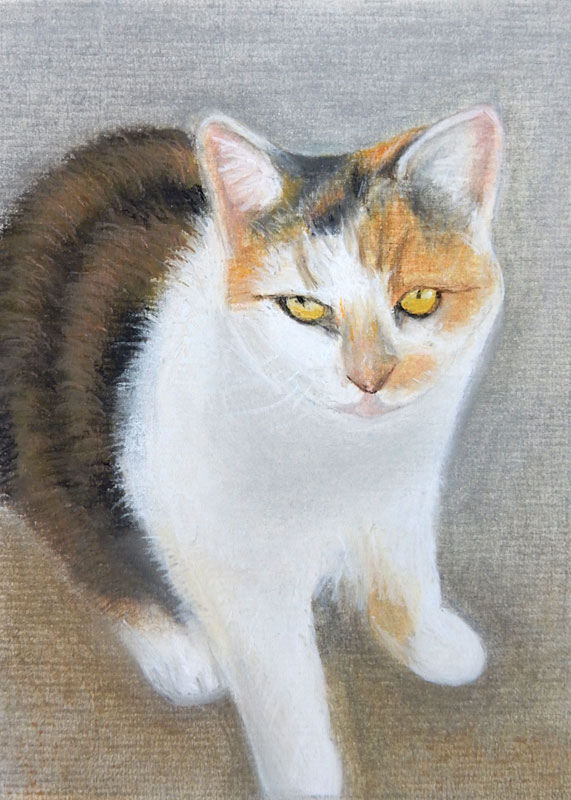 2019-M-Pastels-14-Chris-O.jpg