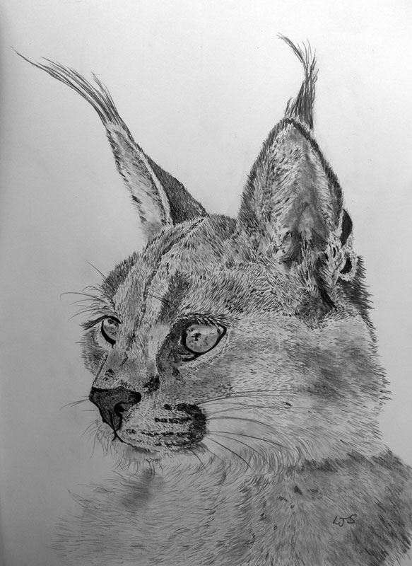 2019-Drawing-May-5.jpg