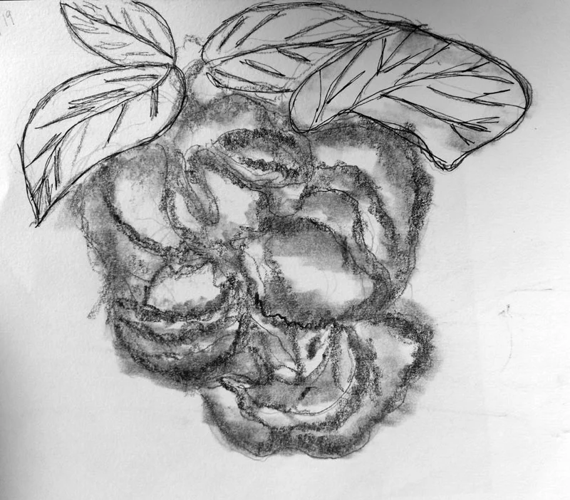 2019-Drawing-May-6.jpg
