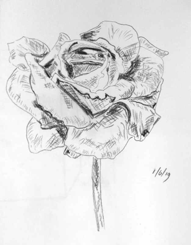 2019-Drawing-May-9.jpg