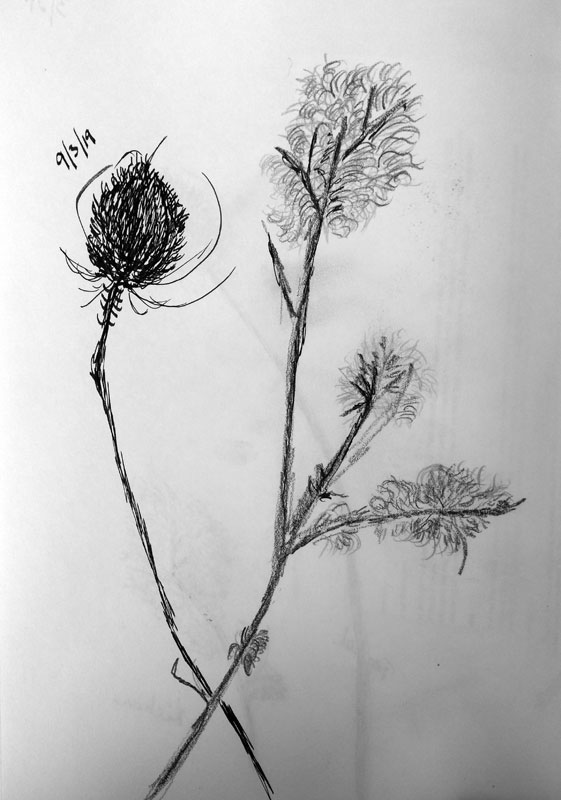 2019-Drawing-May-25.jpg
