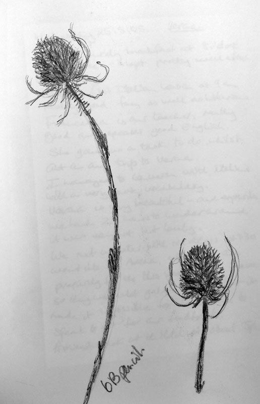2019-Drawing-May-26.jpg
