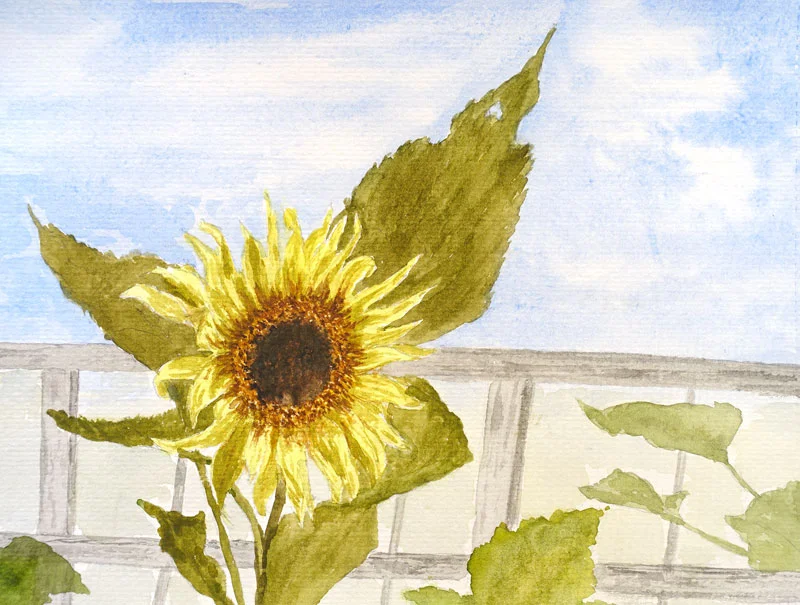 2019-Watercolour-18.jpg