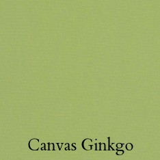 canvas ginkgo.jpeg